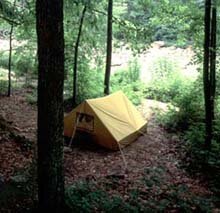 tent camp site along the river at Audra State Park